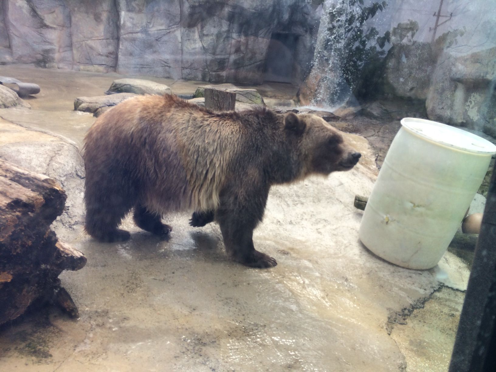 Washington Park Zoo